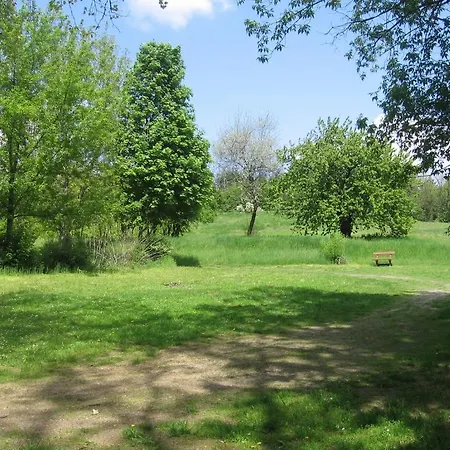 Hotel Mater Salvatoris House