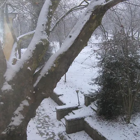 Mater Salvatoris House