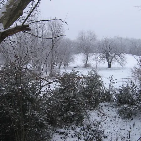 Mater Salvatoris House